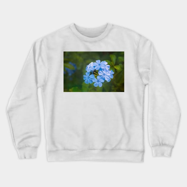 Plumbago Blue Crewneck Sweatshirt by dianecmcac